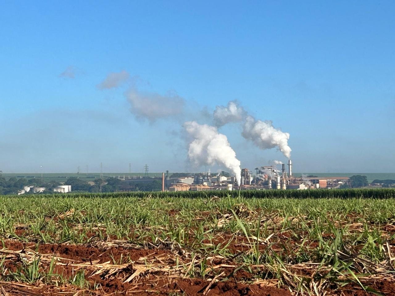 Usina sucroenergética com plantação e área industrial